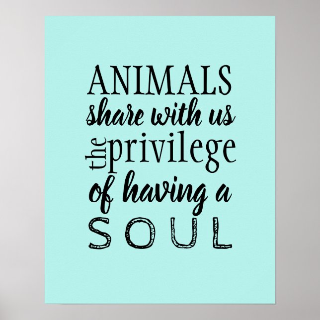 Djurvärdering Poster (Framsidan)