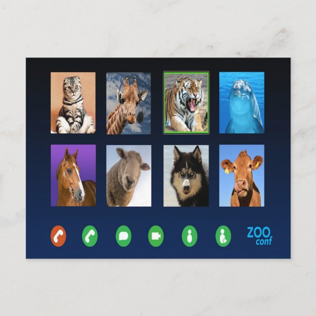 Djurvideokonferens Vykort (Framsida)