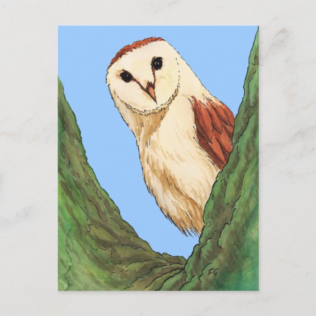 Djurvykort i snö uggla vykort (Framsida)