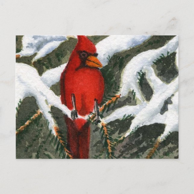 Djurvykort Vykort (Framsida)