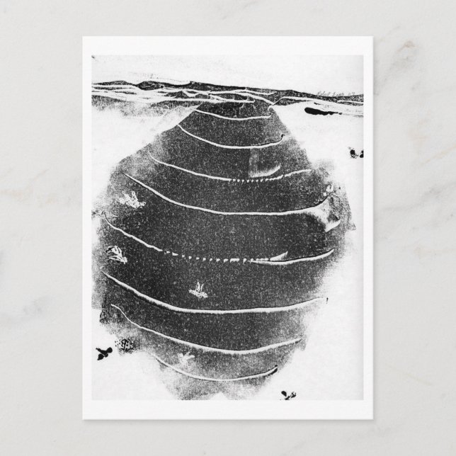 Djurvykort Vykort (Framsida)