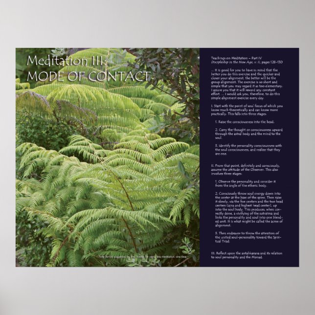 DK Meditation Series: Meditation III Poster (Framsidan)