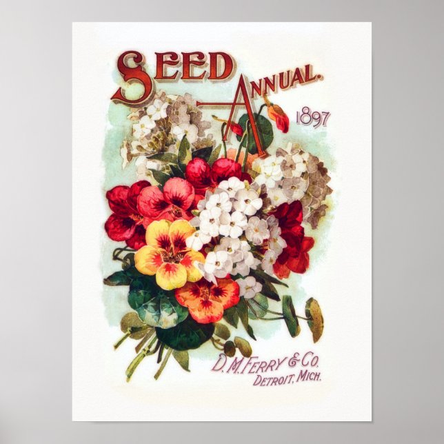 DM Ferry Flower Seeds Vintage Advertisement Poster (Framsidan)