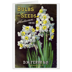 DM Ferry Seeds and Lökar 1898 Hälsningskort