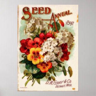 DM Ferry Vintage Flower Catalog Annons Poster