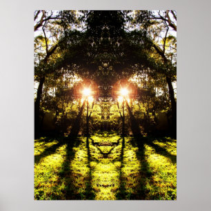 DMT 'AURUS Forest Poster