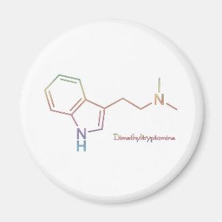 DMT Rainbow Magnet