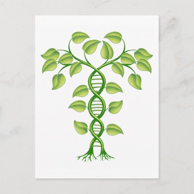 DNA-anläggningskoncept Vykort (Framsida)