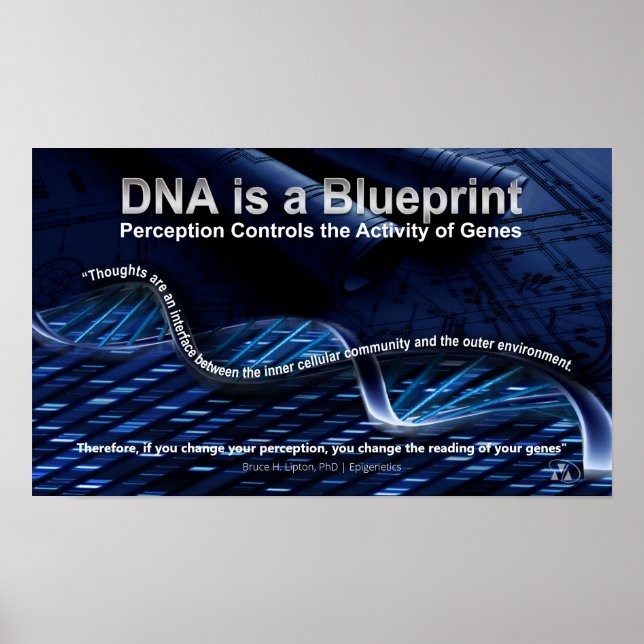 DNA är en blå Poster (Framsidan)