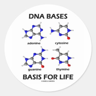 DNA baserar basen för liv (kemimolekylar) Runt Klistermärke