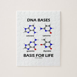 DNA baserar basen för molekylärt liv Pussel
