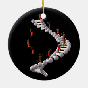 DNA: Darwins Evolution Julgransprydnad Keramik