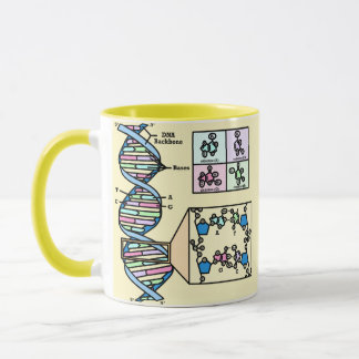 DNA-diagram Mugg