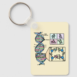 DNA-diagram Nyckelring