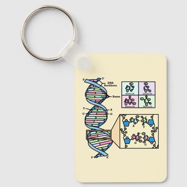 DNA-diagram Nyckelring (Framsida)