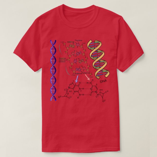 DNA Dubbla-Helix Chemical Formula Molecules Scienc T Shirt (Design framsida)
