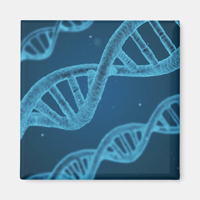 DNA-Dubbla Helix Magnet (Framsidan)