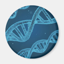 DNA-Dubbla Helix