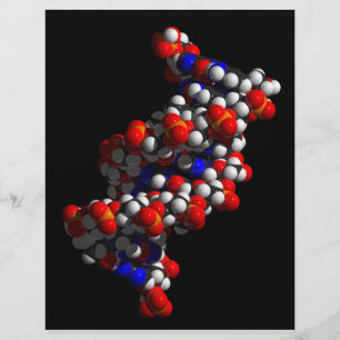 DNA-Dubbla Helix-modell Reklamblad