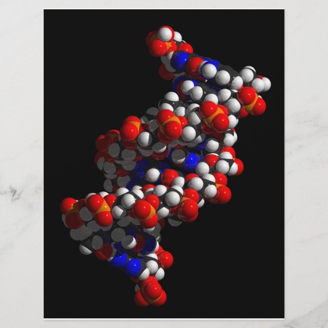 DNA-Dubbla Helix-modell Reklamblad (Framsidan)
