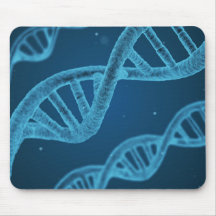 DNA-Dubbla Helix