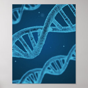DNA-Dubbla Helix Poster