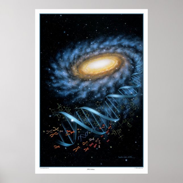 DNA Galaxy Skriv ut Poster (Framsidan)