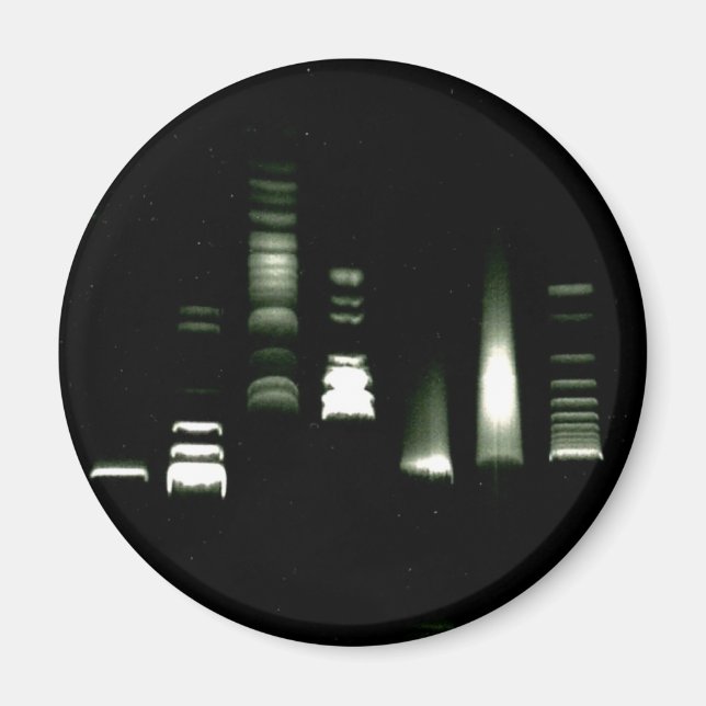 DNA Gel Electrophoresis Magnet (Framsidan)