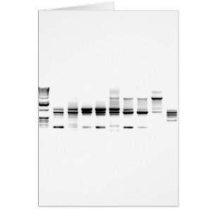 DNA Gel Hälsningskort