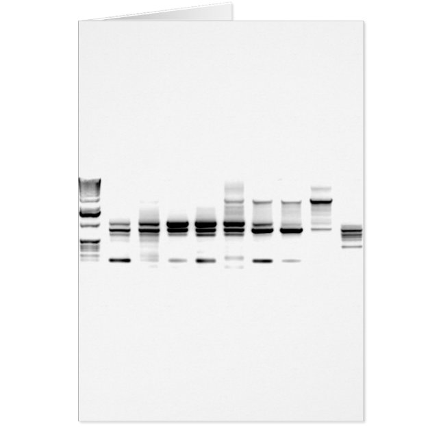 DNA Gel Hälsningskort (Framsidan)