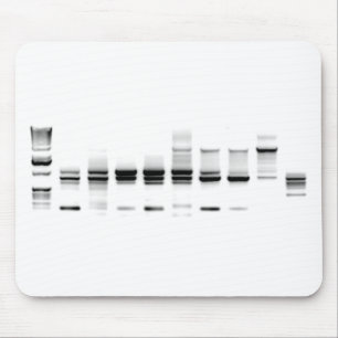 Dna-Gel Musmatta