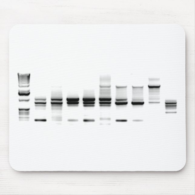 Dna-Gel Musmatta (Framsidan)
