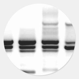 DNA Gel Runt Klistermärke