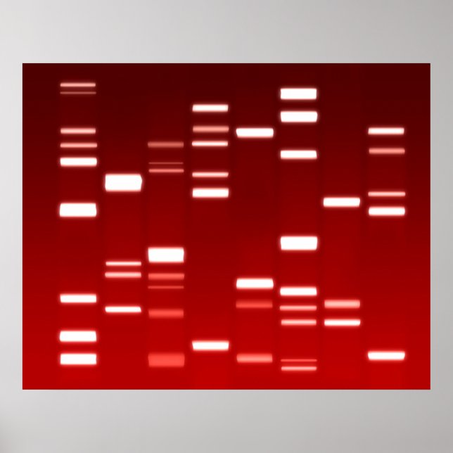 DNA Genetisk kod Red Poster (Framsidan)