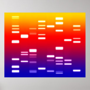 Dna-genetisk kodregnbåge poster