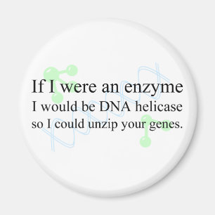DNA-Helicas Magnet