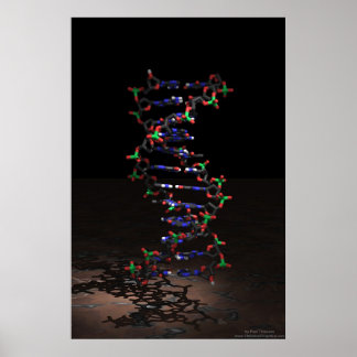 DNA i Spotlight Poster