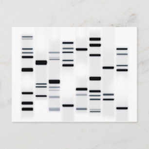 DNA-kod Art Black on White Vykort