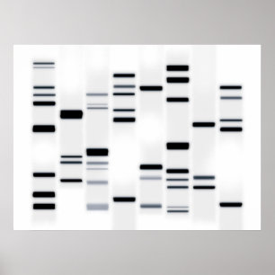 DNA kodifierar konstsvart på vit Poster
