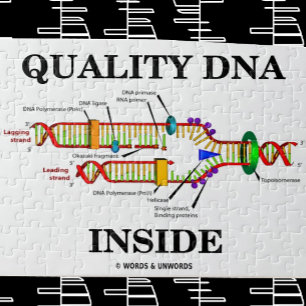 DNA-kvalitet inuti (DNA-replikering) Pussel