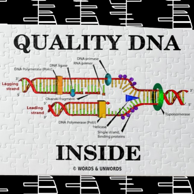 DNA-kvalitet inuti (DNA-replikering) Pussel (Jigsaw puzzle for anyone with "Quality DNA Inside")