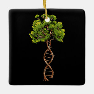 Dna Livets träd Science Genetics Biology Environm Julgransprydnad Keramik
