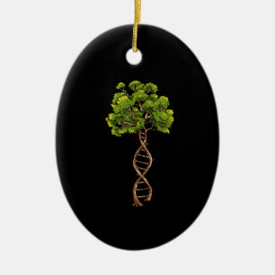 Dna Livets träd Science Genetics Biology Environme Julgransprydnad Keramik