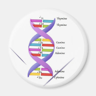 DNA Magnet