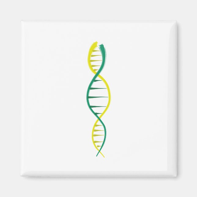 DNA MAGNET (Framsidan)