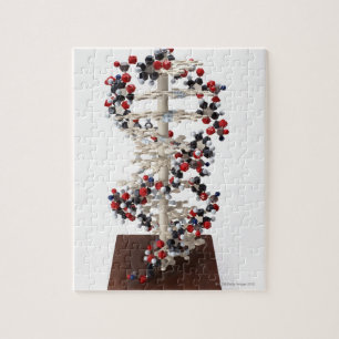DNA modellerar Pussel