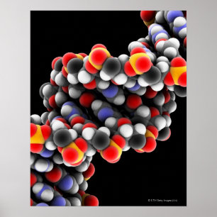 DNA-molekyl. Molekylär modell av DNA Poster