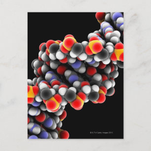 DNA-molekyl. Molekylär modell av DNA Vykort