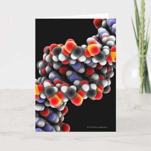 Dna-molekyl. Molekylärt modellera av DNA Kort