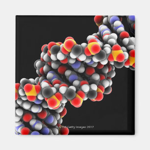 Dna-molekyl. Molekylärt modellera av DNA Magnet